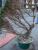 1314-DSCF0593